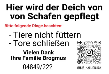 Geschaeftsschilder Tuerschilder Eingang Firma Hier wird der Deich von Schafen gepflegt Bild